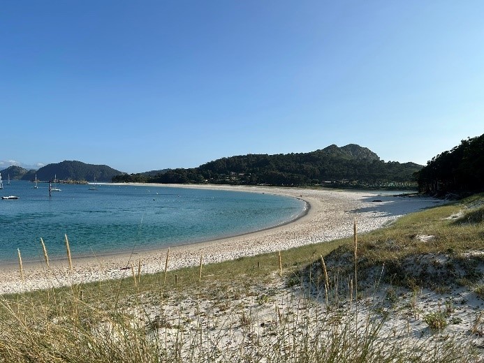 beach scene